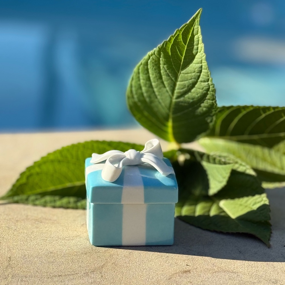 Tiffany & Co. Elegant Blue ceramic gift Box with ceramic white Ribbon